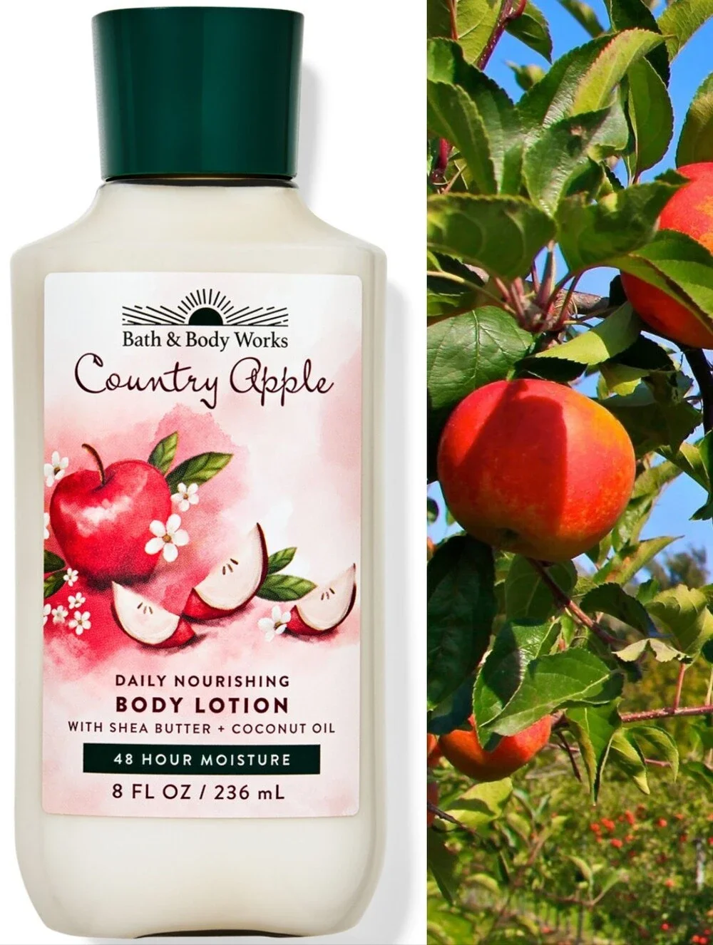 Bath & Body Works Country Apple Daily Nourishing Body Lotion 8oz New RARE